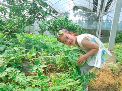 -前小桔亲子创意农场·草莓采摘·露营烧烤