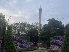 -海心沙亚运公园