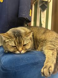 -优刻西服西装定制(金轮国际广场店)