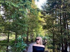 -桤木河湿地公园