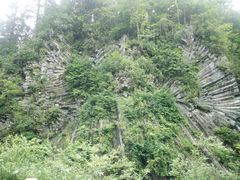 -望天鹅景区