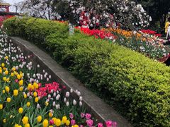 -南山植物园