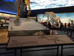 -贝林大翅鲸简餐厅(国家海洋博物馆店)