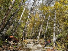 -叠溪松坪沟景区