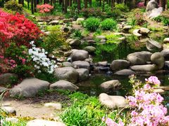 -上海共青森林公园