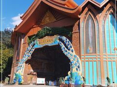 -西双版纳原始森林公园