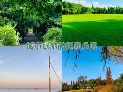 -上海滨江森林公园