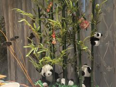 -望江宾馆-普吉岛餐厅