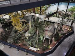 -湖南省地质博物馆