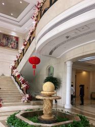-禾丽康美医疗美容医院