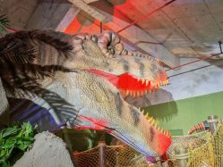 点击看大图 -恐龙探索乐园(磁器口店)