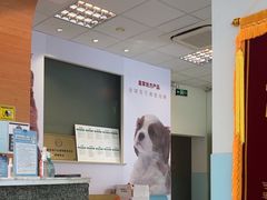 -瑞派申生动物医院·24H夜诊·国际动物医疗中心·骨外科(吴中路店)