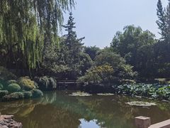 -秋霞圃