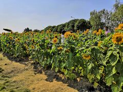 -艾溪湖湿地公园