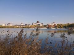 -莲花池公园