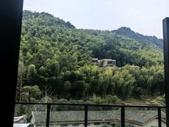 -宁海安岚·南溪阁全日餐厅