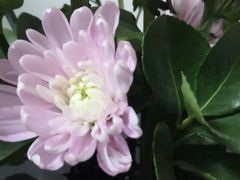 -和枫(众意路店)