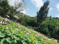-白鹿原影视城