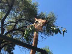 -沈阳森林动物园