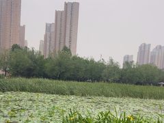 -前关湿地公园
