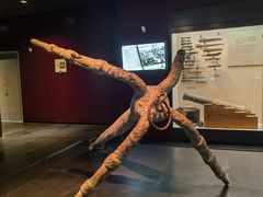 -上海中国航海博物馆