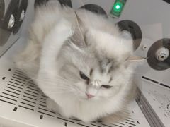 -FAELING PETS美天灵宠物(富力广场店)