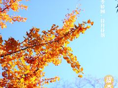 -西园寺