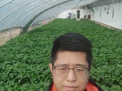 -大自然农场蔬菜草莓采摘园