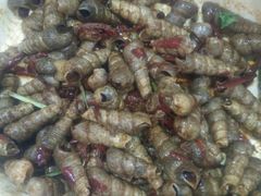 -山东八大碗山东老字号