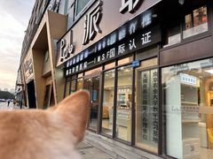 -派联宠物医院·24h·CT·异宠