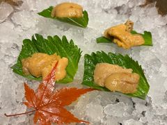 -月龍吟(朝龙汇店)