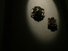 -Dragonfly悠庭·按摩Spa(浦东嘉里城店)