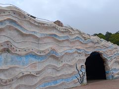-广东惠东海龟国家级自然保护区