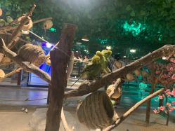 -酷嗒动物文化乐园(cutezoo西溪乐天城店)