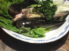 -码头故事火锅(大丰店)