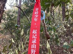 -青龙山国家森林公园