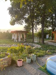 -DORA kids 朵拉儿童摄影花园店