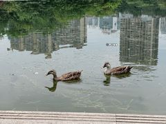 -南宁南湖公园