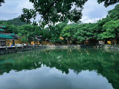 -阿育王寺