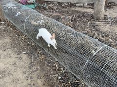 -大自然农场蔬菜草莓采摘园