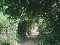 -硇洲岛旅游区