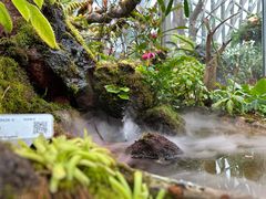 -上海辰山植物园
