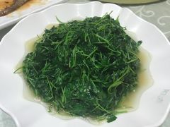 -阿英煲(凉城路店)