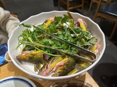 -老凯俚酸汤鱼(多彩城店)
