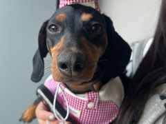 -北京华联合肥长江西路购物中心