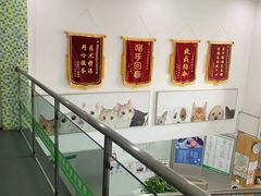 -爱侣宠医·鹦鹉专科·小型哺乳类·异宠专科(灵石路店)