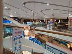 -吾悦广场(南京鼓楼店)