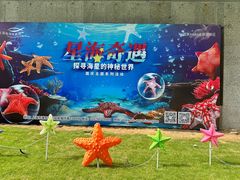 -上海海洋水族馆
