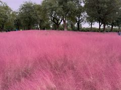 -汉长安城未央宫国家考古遗址公园