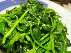 时蔬菜-田趣园长沙菜(天安云谷店)